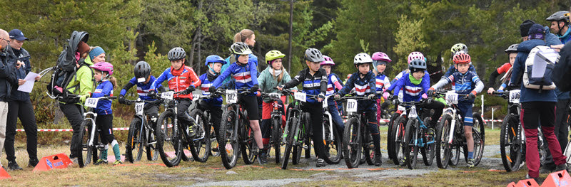 TVKs arrangementer 2024